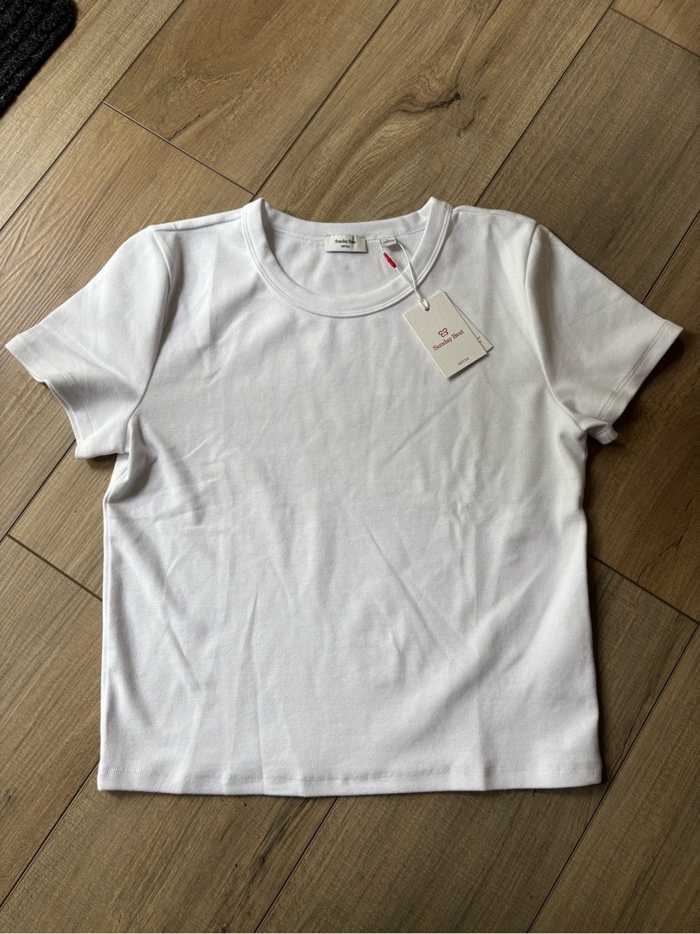 Aritzia Sunday best tshirt